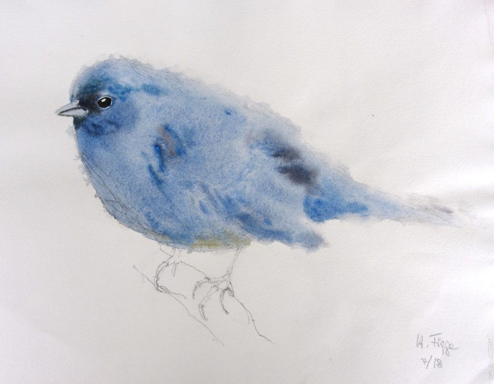 Blauvogel von Holger Figge ​​​​​​